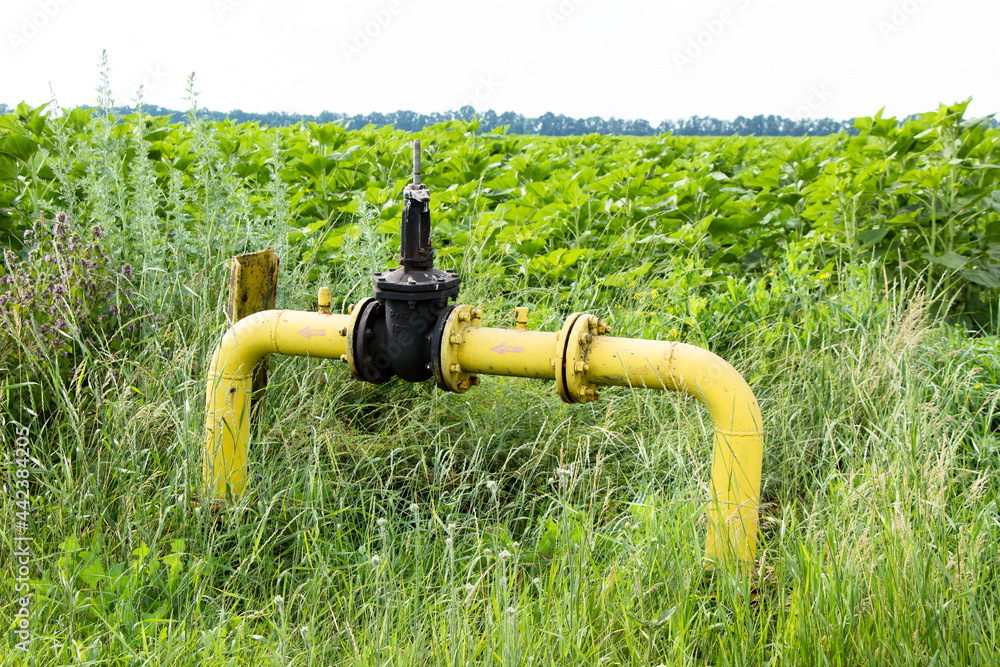 Φωτογραφία Yellow gas pipe with black valve in the field near the field with sunflower Ukra