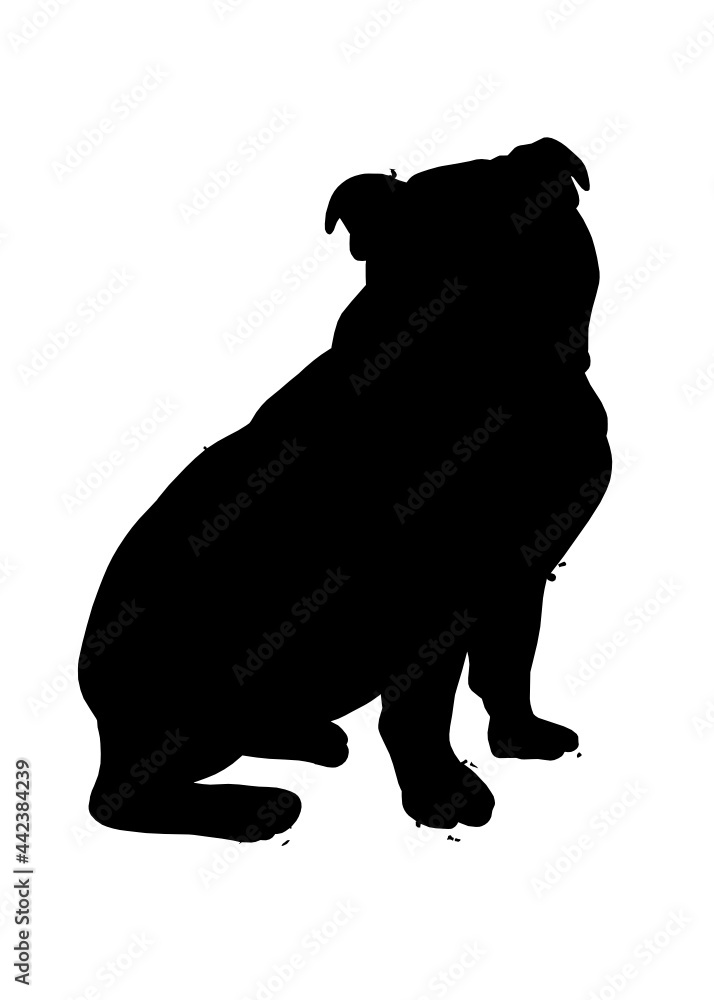 English Bulldog Puppy dog silhouette, Vector illustration silhouette of a dog on a white background.