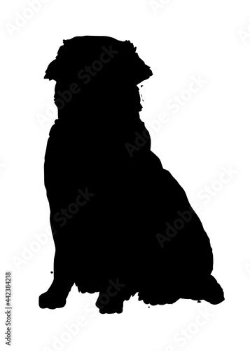 Golden Retriever dog silhouette, Vector illustration silhouette of a dog on a white background.