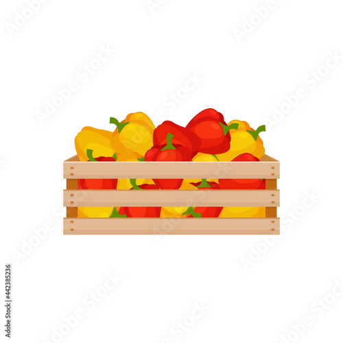 A bright autumn illustration depicting a wooden box with red and yellow bell peppers. The harvested harvest of Bulgarian pepper in a box made of wood. Vector illustration on a white background