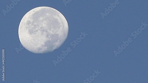 月齢18の昼間の月