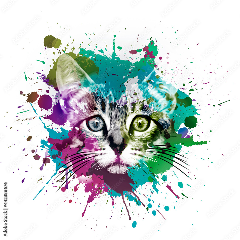 Naklejka premium cat in the rain
