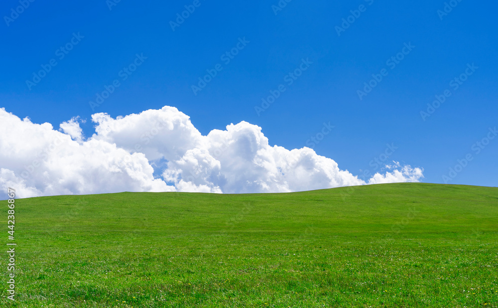 Green hill and white fluffy cloud over it