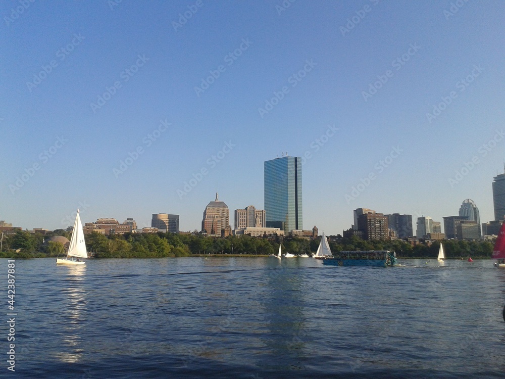 Fototapeta premium city skyline