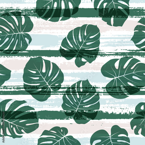 Modern monstera philodendron liana hole leaves