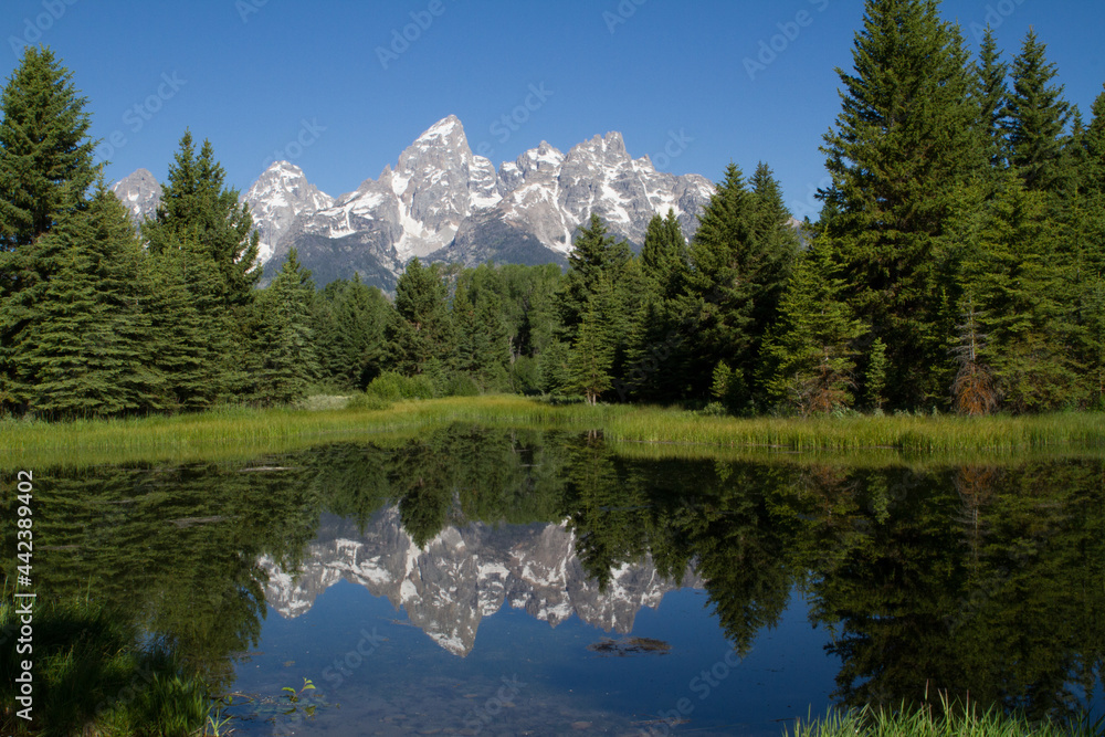 lake in the tetons