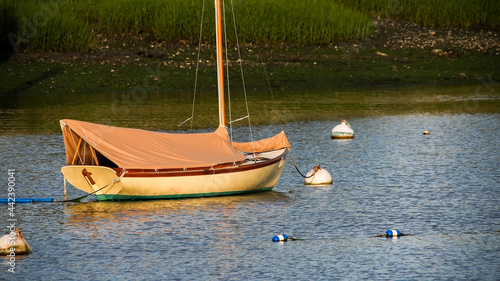 Small sail boat docking  with evening ligts photo