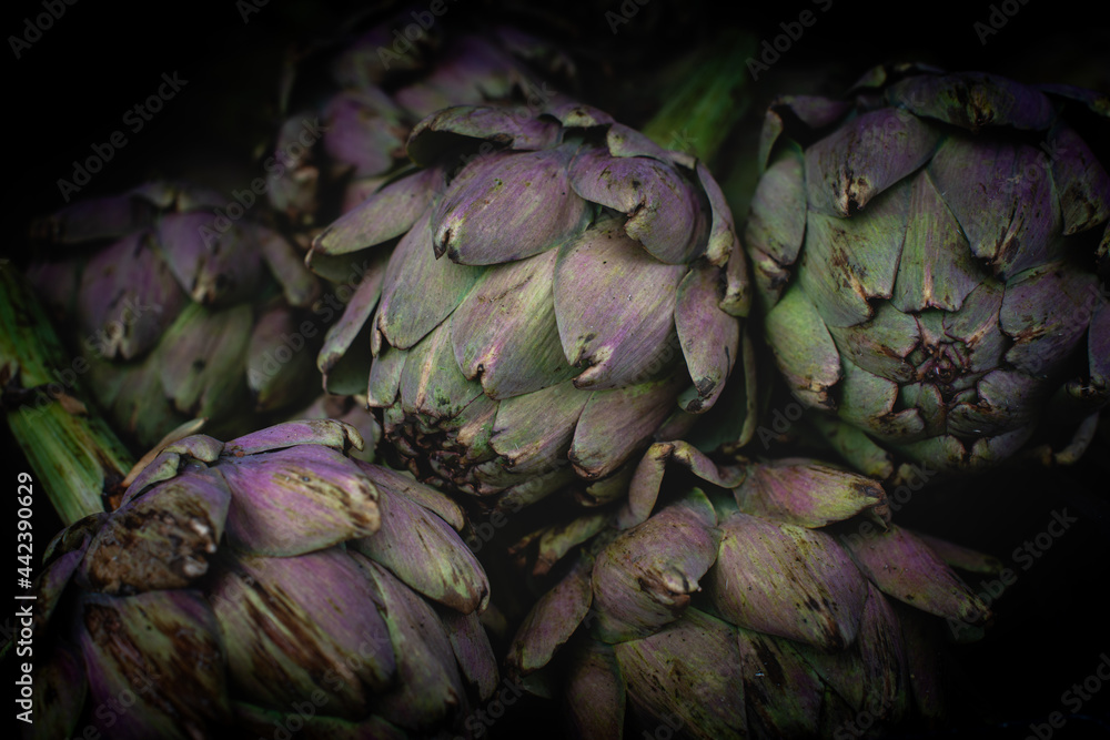 Obraz premium Background of Artichoke on black