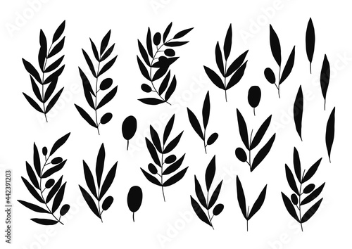 Olive silhouettes set. Good for banner, poster, flyer, greeting card, web design, print design. Vector illustration.