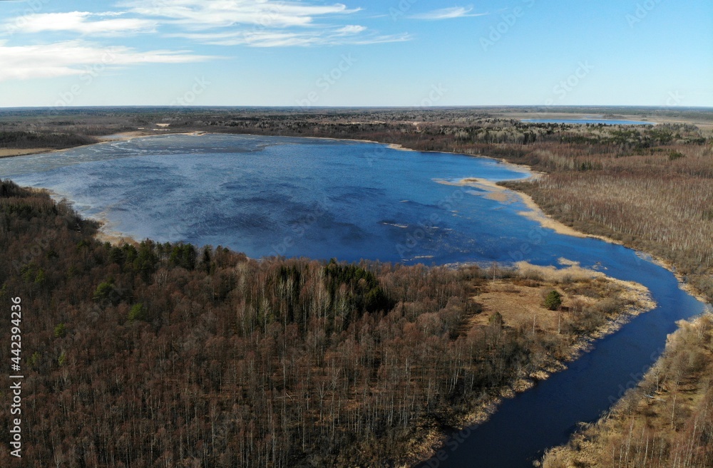 nice lake in forest at spring. Aerial drone view. Flying over. Nobody. Novgorod Oblast, Russia. High quality photo