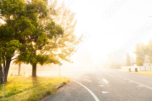 morning fog causing low visibility along road in aussie town photo