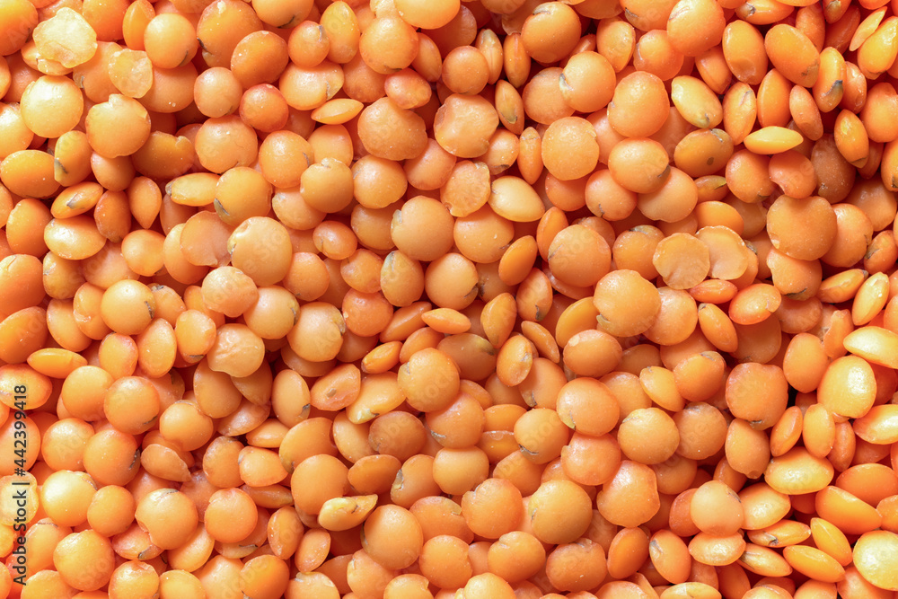 Red lentils pattern as background. Natural organic lentils. Dry uncooked red lentils grain texture. Red lentils pattern as background. Natural organic lentils. Dry uncooked red lentils grain texture.