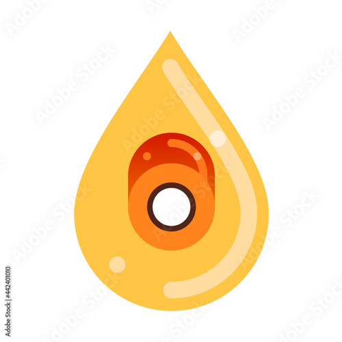 fruit of the oil palm slice inside oil drop. Palm oil. Flat vector illustration isolated on white.
