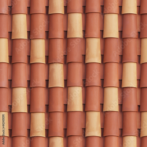 Seamless Tileable Texture of Ceramic Roofing Tiles