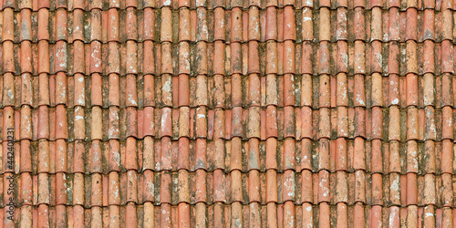 Seamless Tileable Texture of Ceramic Roofing Tiles