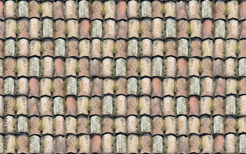 Seamless Tileable Texture of Ceramic Roofing Tiles