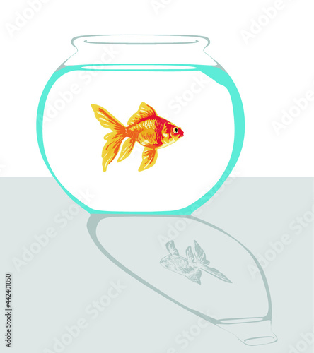 goldfish in a bowl aquarium.