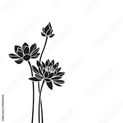 Vector black silhouettes of lotus flowers isolated on a white background.