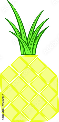 Annanas
Sommer & Tropenfrucht