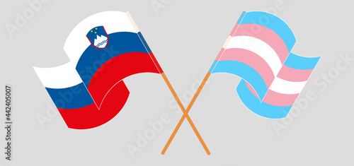 Crossed and waving flags of Slovenia and Transgender Pride