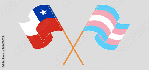 Crossed and waving flags of Chile and Transgender Pride