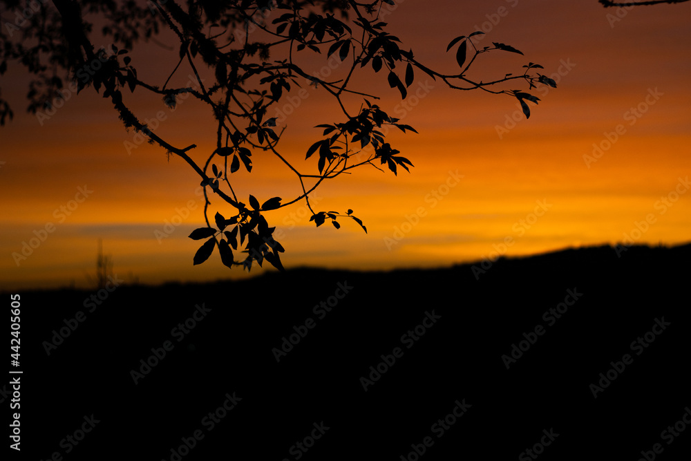 Naklejka premium sunset, sun, nature, landscape, horizon