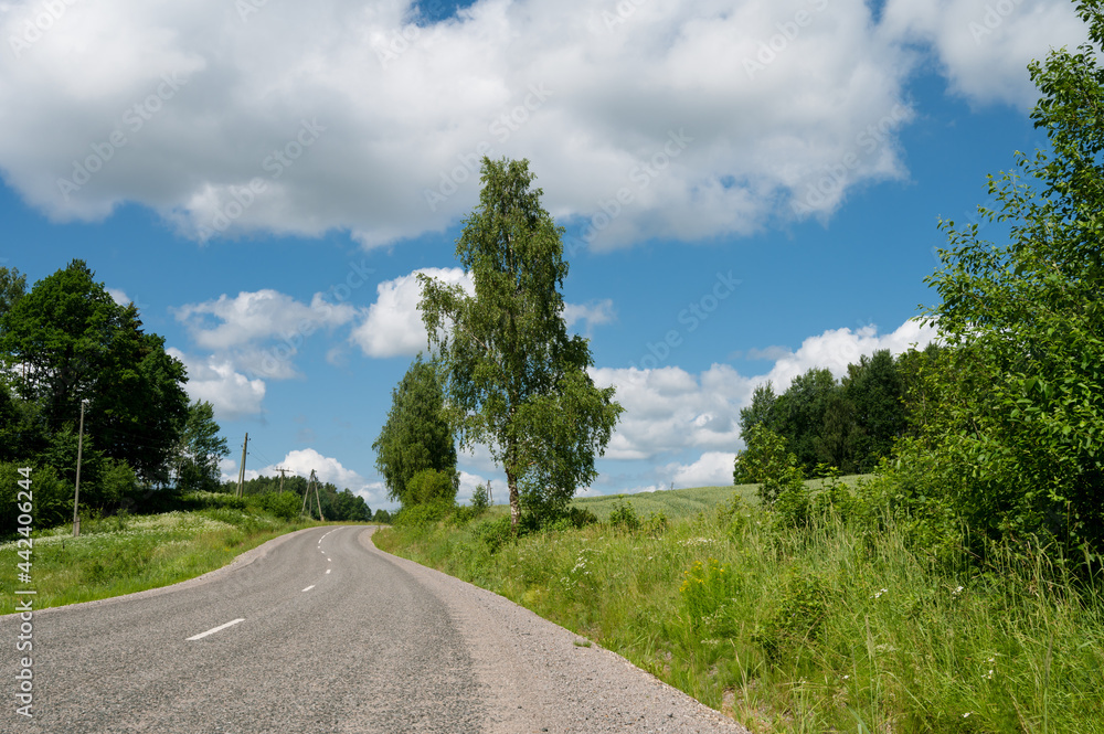Fototapeta premium Scenic countryside landscape. Empty asphalt road. Summer nature. Blue cloudy sky. Green trees and grass.