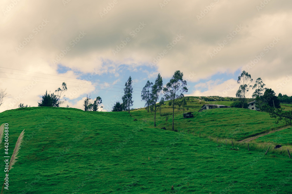 llanura pasto colina andes ecuador tarqui azuay 