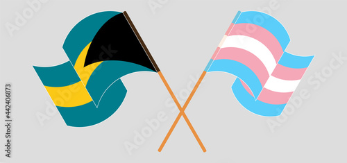 Crossed and waving flags of the Bahamas and Transgender Pride