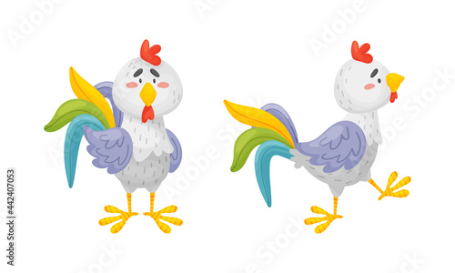 Rooster Funny Character with Bright Feathers Standing and Walking Vector Set