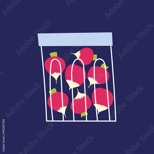 Pickled radish in the glass jar. Flat hand drawn pickled vegetable. Cute container for canning with homemade marinated radish.