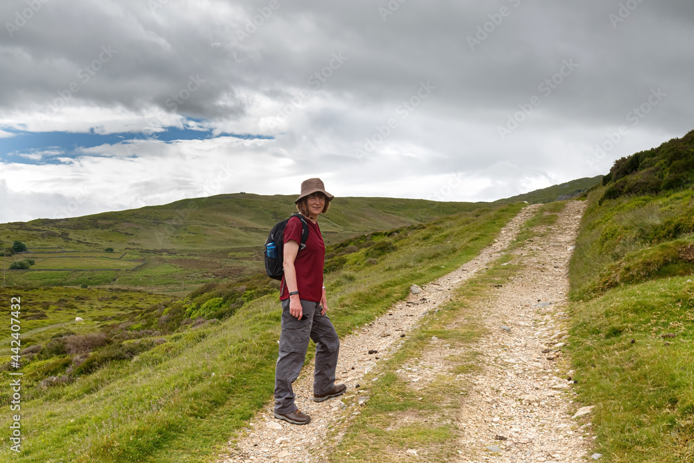 A single female on a ramble along the mountain track on the scenic Wales Coastal Path at Penmaenmawr, Cony, Wales A single female on a ramble along the mountain track on the scenic Wales Coastal Path at Penmaenmawr, Cony, Wales