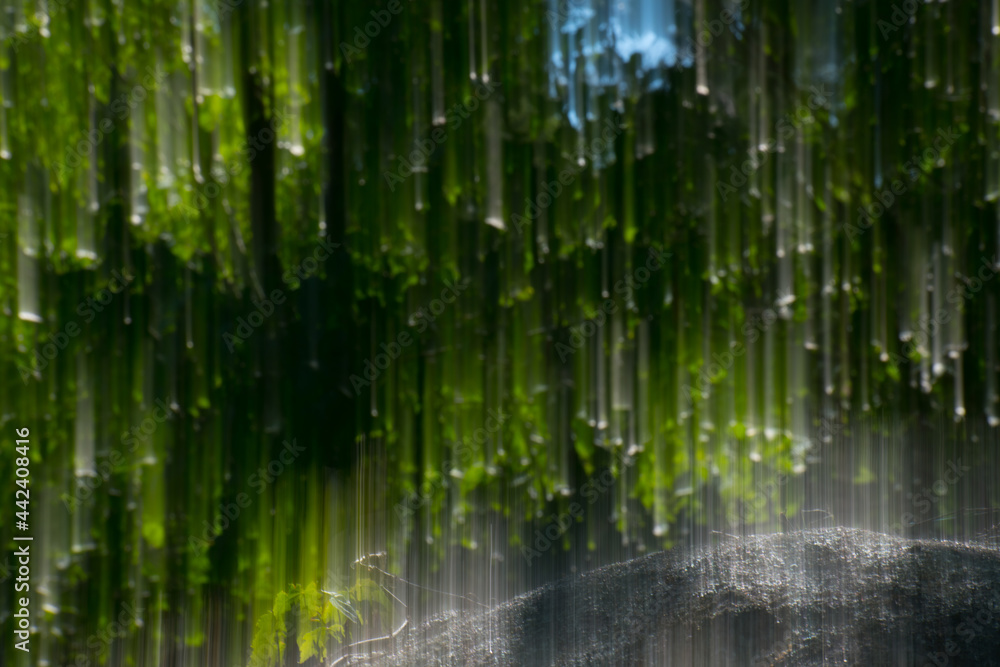 intentional blur with ling time exposure of green leaves on trees looking like green light rays or rain with. spot of blue sky background with light vertical motion leaves falling in spring 