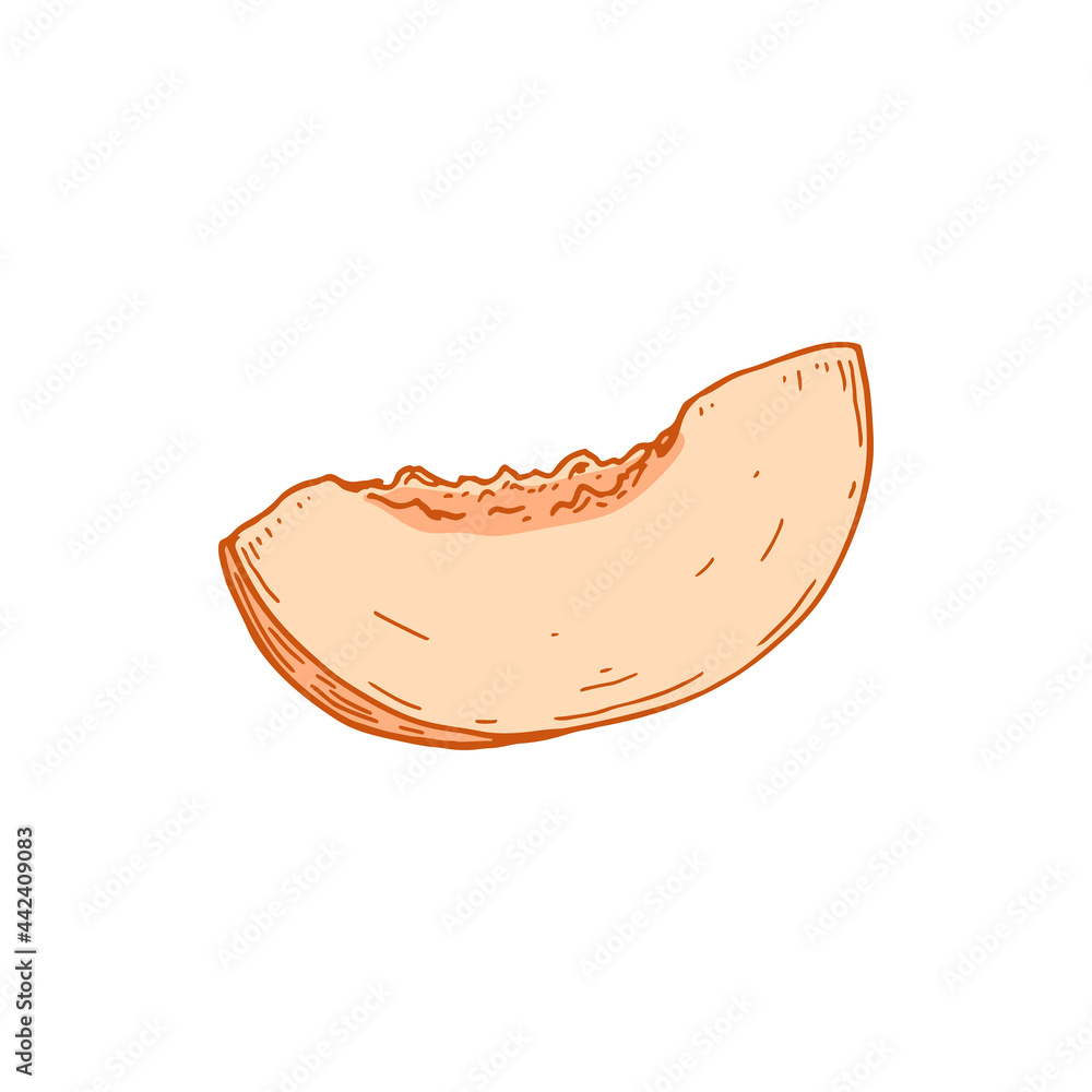 Fototapeta premium Hand drawn slice of peach isolated on white background. Vector illustration in sketch style. Design element for package, label, poster, print, menu
