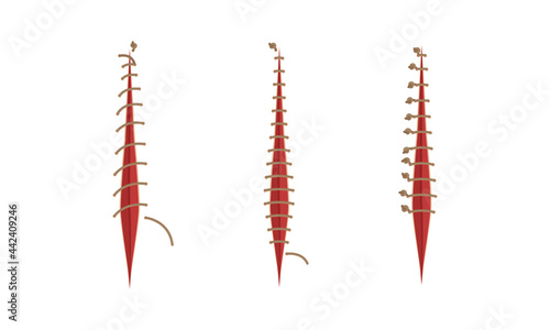 Baseball Stitches and Red Lace with Loop of Thread Isolated on White Background Vector Set