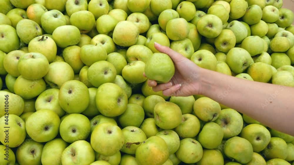 Green apples are on shelf in supermarket.
Girl takes apple from fruit shelf in store, examines it and puts it out. Green apples are on shelf in supermarket.
Girl takes apple from fruit shelf in store, examines it and puts it out.