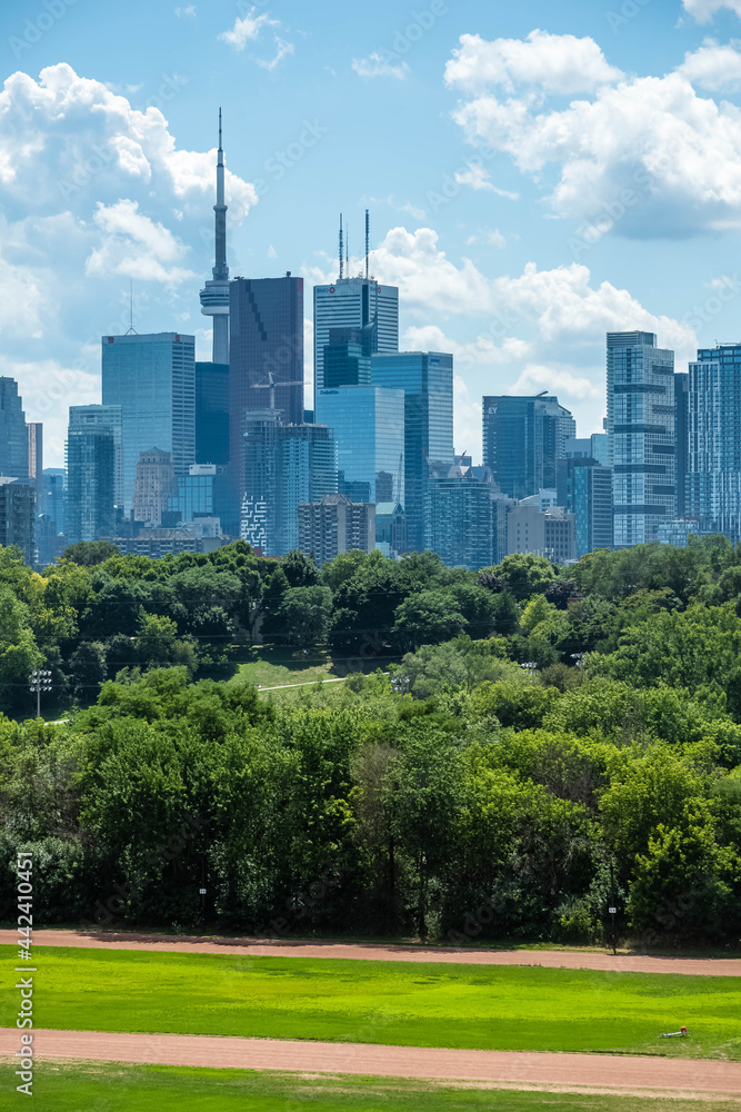 The Toronto skyline from Toronto's Riverdale Park