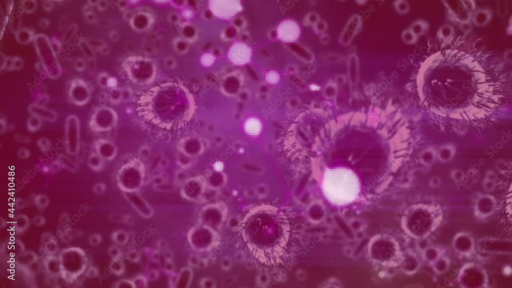 Animation of macro covid 19 cells floating on pink background Animation of macro covid 19 cells floating on pink background