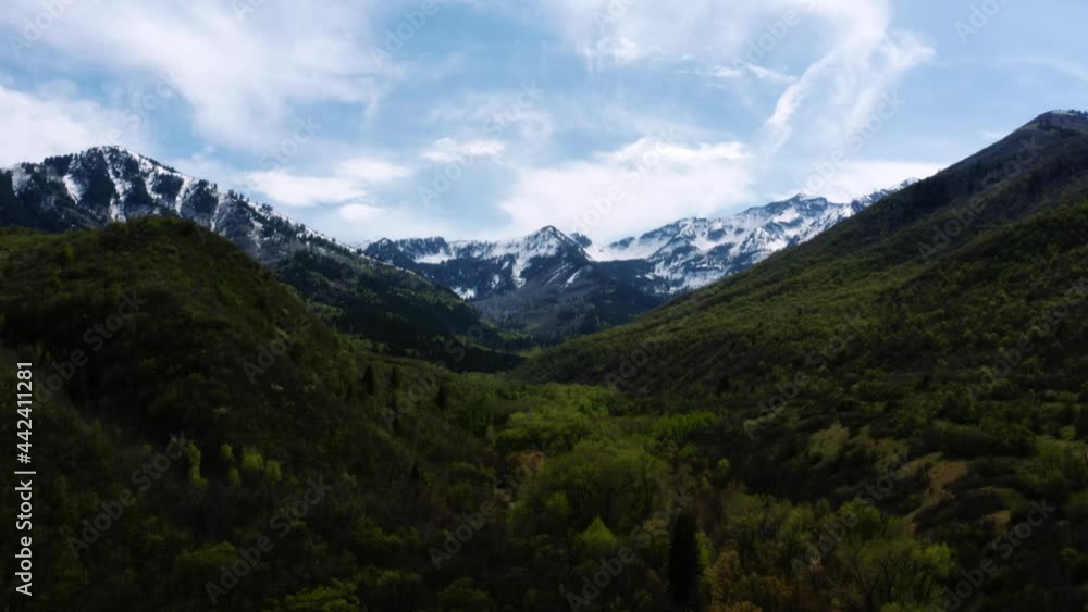 Stunning rising aerial drone shot of famous Utah Rocky Mountain peaks with snow and luscious green foliage below near Provo, UT on a warm sunny summer day. Stunning rising aerial drone shot of famous Utah Rocky Mountain peaks with snow and luscious green foliage below near Provo, UT on a warm sunny summer day.