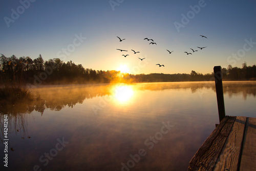 Beautiful sunrise on a lake with birds