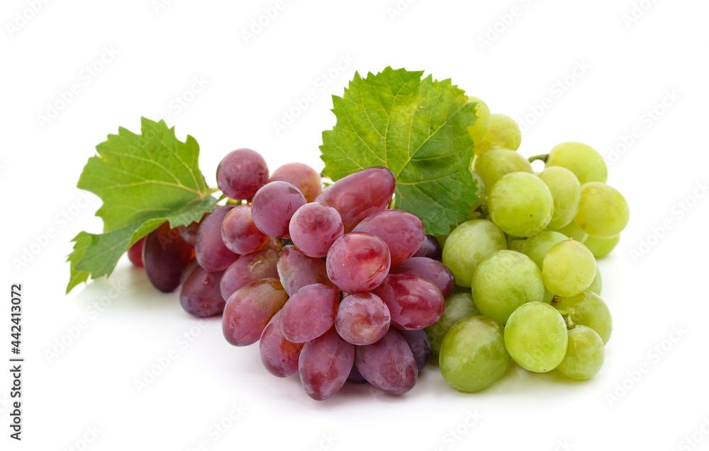 Fototapeta premium Delicious and ripe grapes.