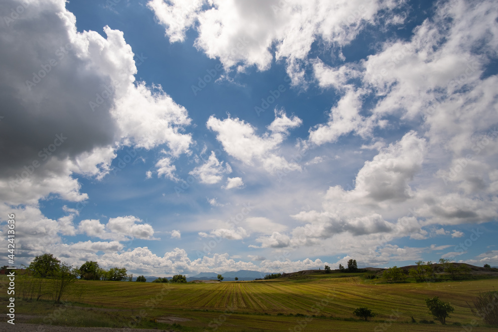 Cloudscape sky on a summer green and yellow agricultural countryside field landscape