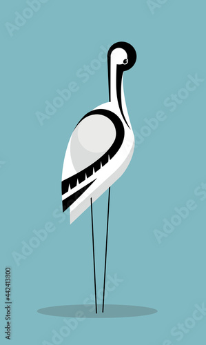 Avocet cleans feathers