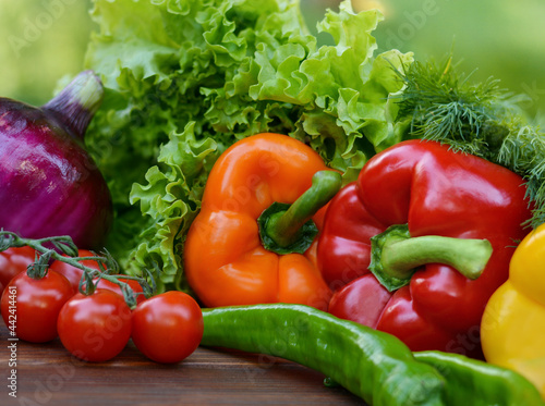 Beautiful fresh organic vegetables on the background of a blurred green vegetable garden. The concept of gardening  healthy eating  vegetarianism. Copy space for text