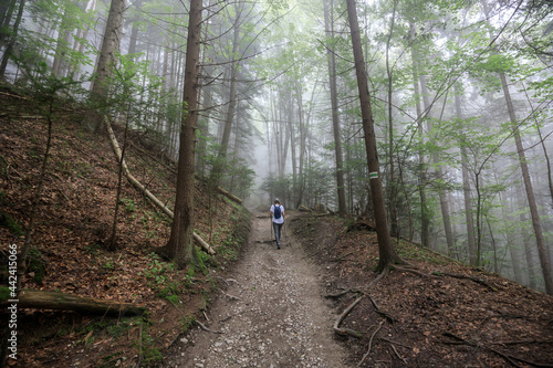 Pieniny National Park (Poland): Woman hiking on the misty mountain road early in the morning