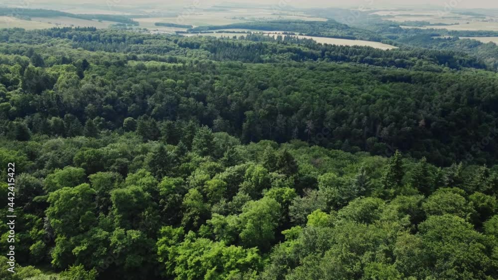 Flight over a dense forest - wonderful nature - aerial photography Flight over a dense forest - wonderful nature - aerial photography