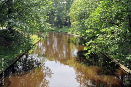 bridge over the river