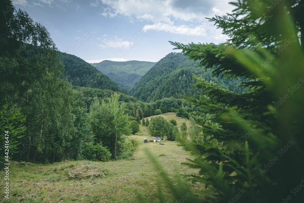 Romanian Mountains - Padis - Apuseni Romanian Mountains - Padis - Apuseni