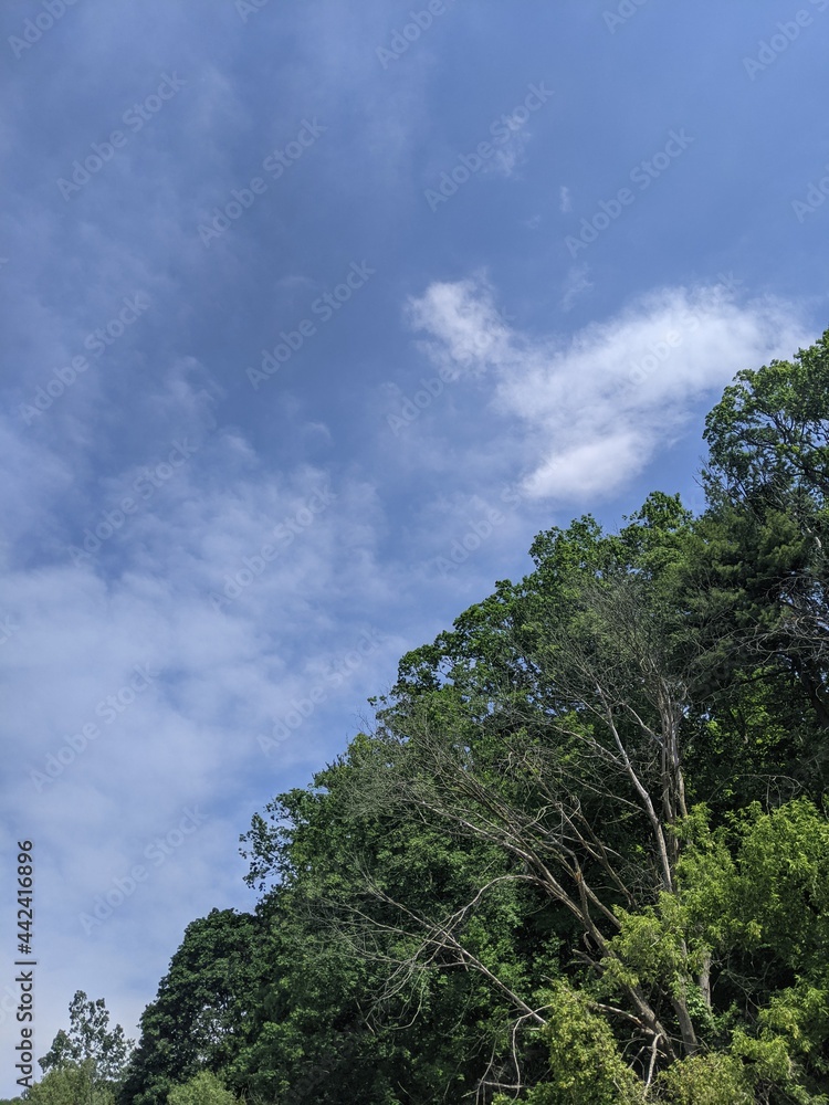 Obraz premium White clouds and blue sky 