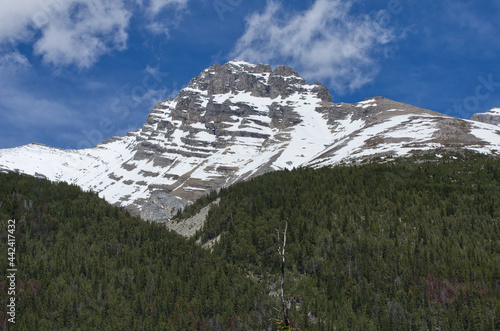 Mountain Scenery from the Icefields Parkway © RiMa Photography